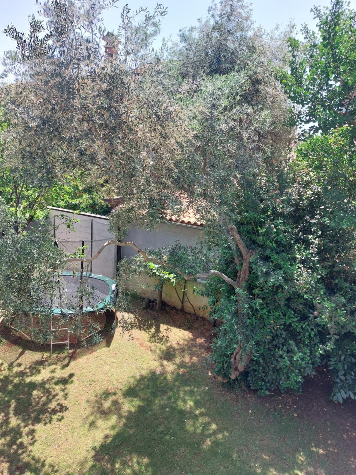 Apartments Dasara Rovinj Bagian luar foto